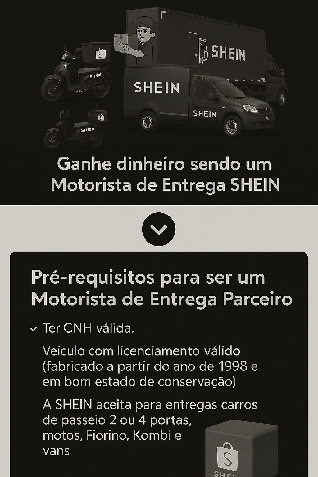 Shein Delivery Partners